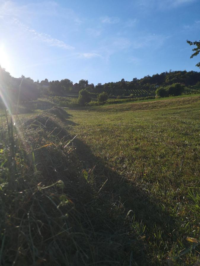 Apartma Gorca Plevnik Buce Eksteriør bilde